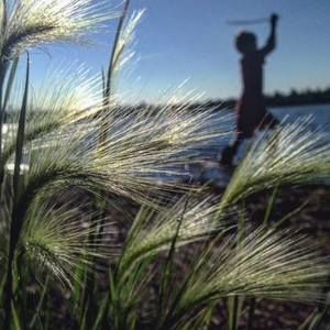 Meet your Posher, Missy